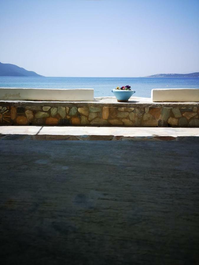 Villa Lula เนอาสตีรา ภายนอก รูปภาพ